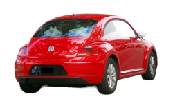 Beetle