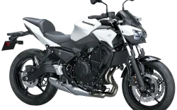 Z650