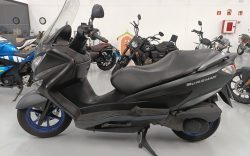 Burgman